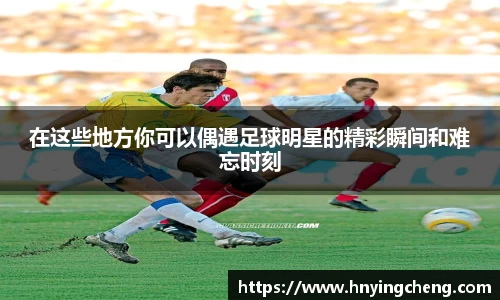 zoty中欧官方网站